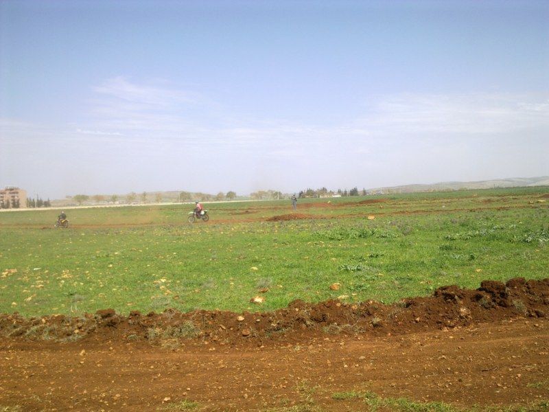 GÃƒÂƒÃ‚ÂƒÃƒÂ‚Ã‚Â¶rÃƒÂƒÃ‚ÂƒÃƒÂ‚Ã‚Â¼ntÃƒÂƒÃ‚ÂƒÃƒÂ‚Ã‚Â¼1168 [800x600].jpg