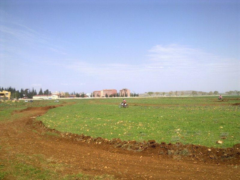 GÃƒÂƒÃ‚ÂƒÃƒÂ‚Ã‚Â¶rÃƒÂƒÃ‚ÂƒÃƒÂ‚Ã‚Â¼ntÃƒÂƒÃ‚ÂƒÃƒÂ‚Ã‚Â¼1172 [800x600].jpg