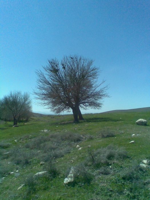 GÃƒÂƒÃ‚ÂƒÃƒÂ‚Ã‚Â¶rÃƒÂƒÃ‚ÂƒÃƒÂ‚Ã‚Â¼ntÃƒÂƒÃ‚ÂƒÃƒÂ‚Ã‚Â¼165.jpg