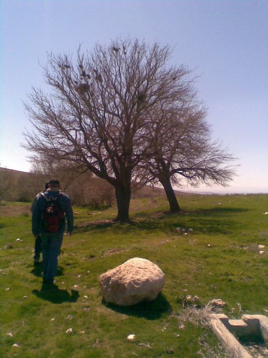 GÃƒÂƒÃ‚ÂƒÃƒÂ‚Ã‚Â¶rÃƒÂƒÃ‚ÂƒÃƒÂ‚Ã‚Â¼ntÃƒÂƒÃ‚ÂƒÃƒÂ‚Ã‚Â¼166.jpg