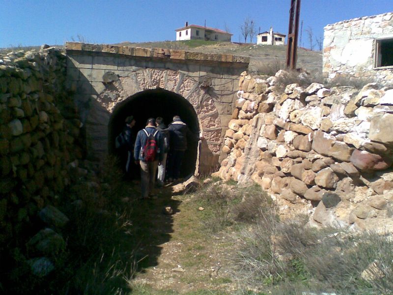 GÃƒÂƒÃ‚ÂƒÃƒÂ‚Ã‚Â¶rÃƒÂƒÃ‚ÂƒÃƒÂ‚Ã‚Â¼ntÃƒÂƒÃ‚ÂƒÃƒÂ‚Ã‚Â¼207.jpg