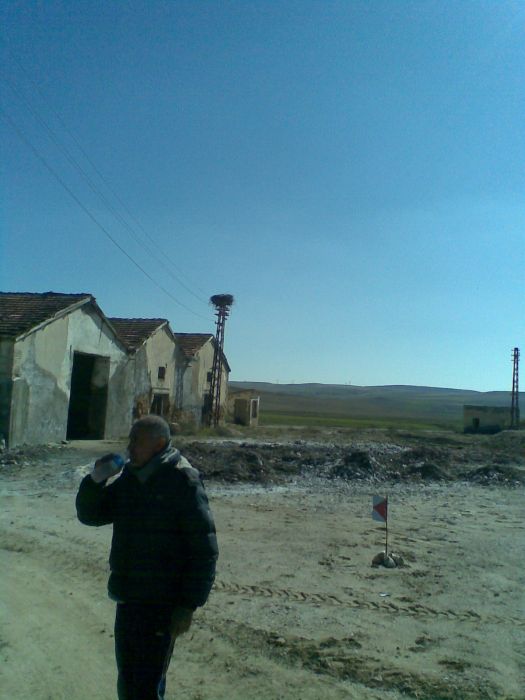 GÃƒÂƒÃ‚ÂƒÃƒÂ‚Ã‚Â¶rÃƒÂƒÃ‚ÂƒÃƒÂ‚Ã‚Â¼ntÃƒÂƒÃ‚ÂƒÃƒÂ‚Ã‚Â¼217.jpg