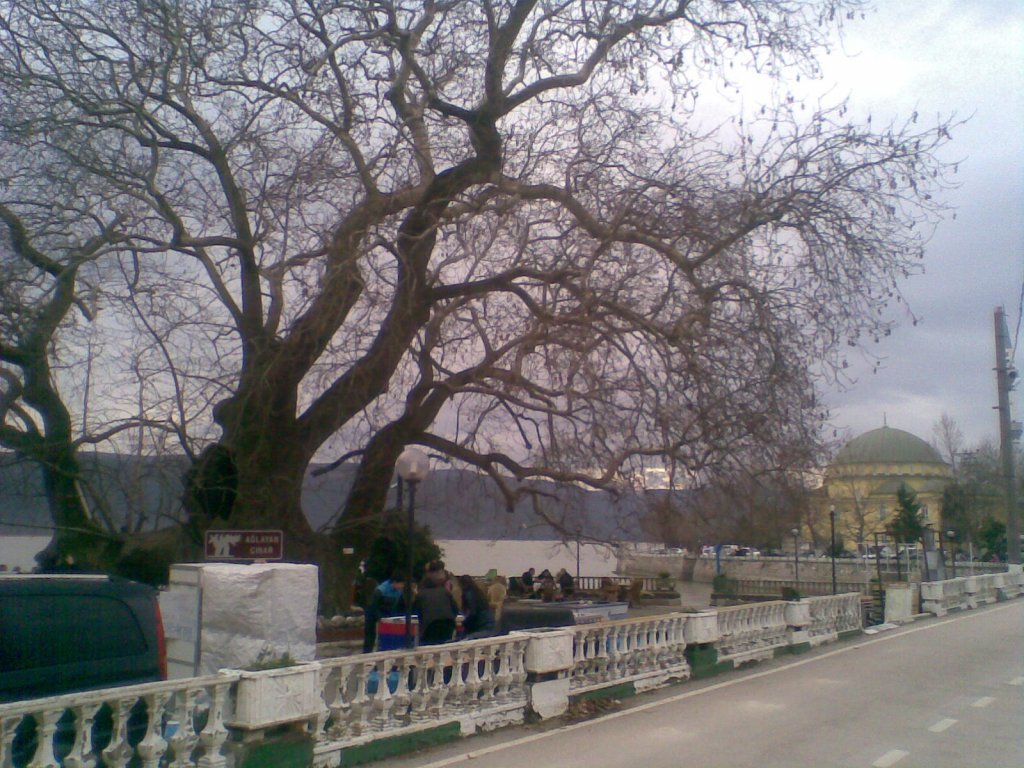 GÃƒÂƒÃ‚ÂƒÃƒÂ‚Ã‚Â¶rÃƒÂƒÃ‚ÂƒÃƒÂ‚Ã‚Â¼ntÃƒÂƒÃ‚ÂƒÃƒÂ‚Ã‚Â¼234.jpg