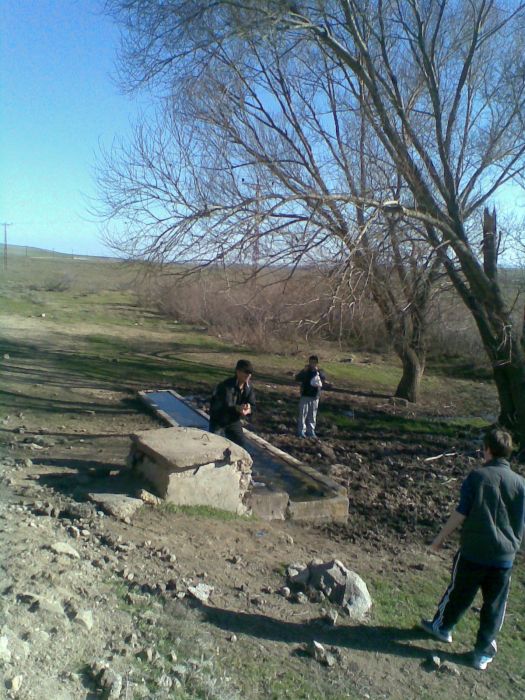 GÃƒÂƒÃ‚ÂƒÃƒÂ‚Ã‚Â¶rÃƒÂƒÃ‚ÂƒÃƒÂ‚Ã‚Â¼ntÃƒÂƒÃ‚ÂƒÃƒÂ‚Ã‚Â¼249.jpg