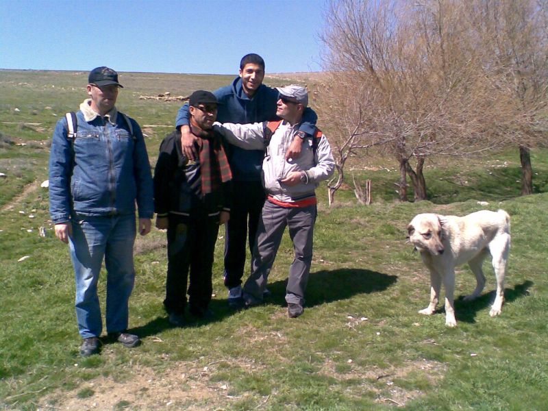 GÃƒÂƒÃ‚ÂƒÃƒÂ‚Ã‚Â¶rÃƒÂƒÃ‚ÂƒÃƒÂ‚Ã‚Â¼ntÃƒÂƒÃ‚ÂƒÃƒÂ‚Ã‚Â¼272.jpg