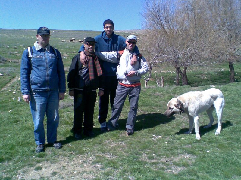 GÃƒÂƒÃ‚ÂƒÃƒÂ‚Ã‚Â¶rÃƒÂƒÃ‚ÂƒÃƒÂ‚Ã‚Â¼ntÃƒÂƒÃ‚ÂƒÃƒÂ‚Ã‚Â¼273.jpg