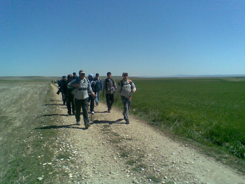 GÃƒÂƒÃ‚ÂƒÃƒÂ‚Ã‚Â¶rÃƒÂƒÃ‚ÂƒÃƒÂ‚Ã‚Â¼ntÃƒÂƒÃ‚ÂƒÃƒÂ‚Ã‚Â¼277.jpg