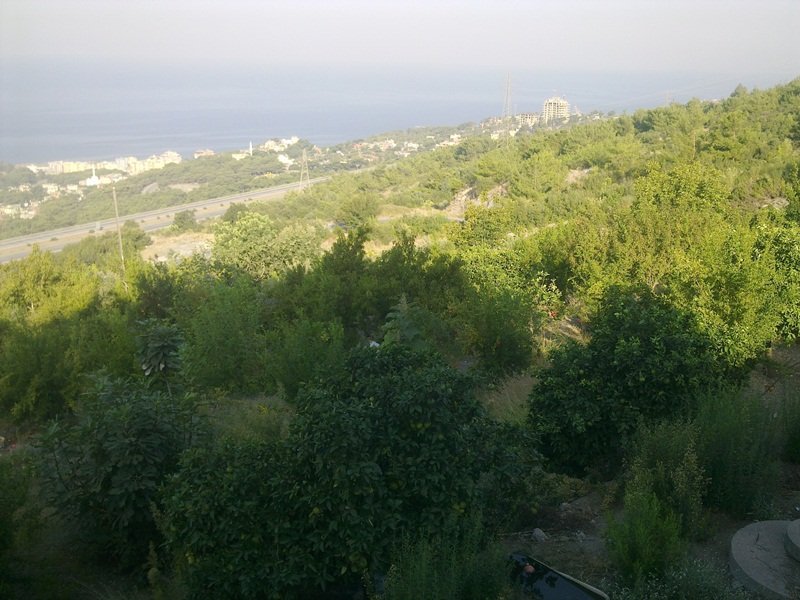 GÃƒÂƒÃ‚ÂƒÃƒÂ‚Ã‚Â¶rÃƒÂƒÃ‚ÂƒÃƒÂ‚Ã‚Â¼ntÃƒÂƒÃ‚ÂƒÃƒÂ‚Ã‚Â¼2789.jpg