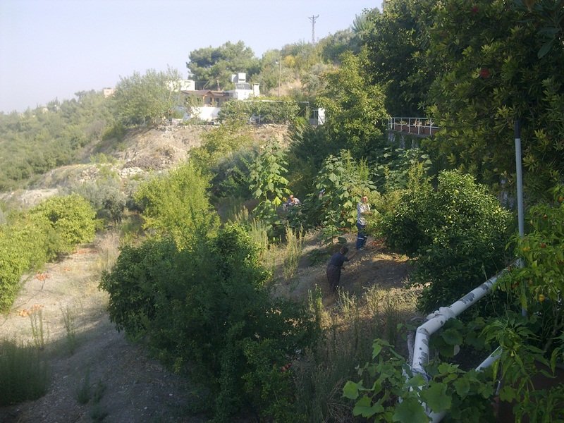 GÃƒÂƒÃ‚ÂƒÃƒÂ‚Ã‚Â¶rÃƒÂƒÃ‚ÂƒÃƒÂ‚Ã‚Â¼ntÃƒÂƒÃ‚ÂƒÃƒÂ‚Ã‚Â¼2795.jpg
