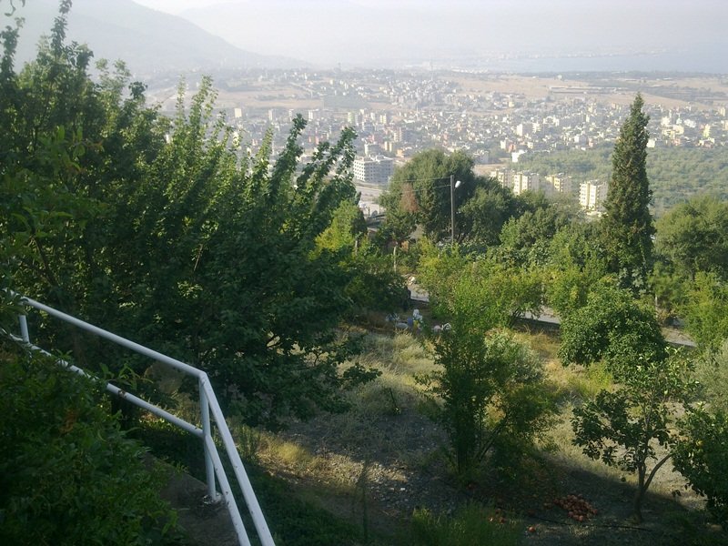 GÃƒÂƒÃ‚ÂƒÃƒÂ‚Ã‚Â¶rÃƒÂƒÃ‚ÂƒÃƒÂ‚Ã‚Â¼ntÃƒÂƒÃ‚ÂƒÃƒÂ‚Ã‚Â¼2796.jpg