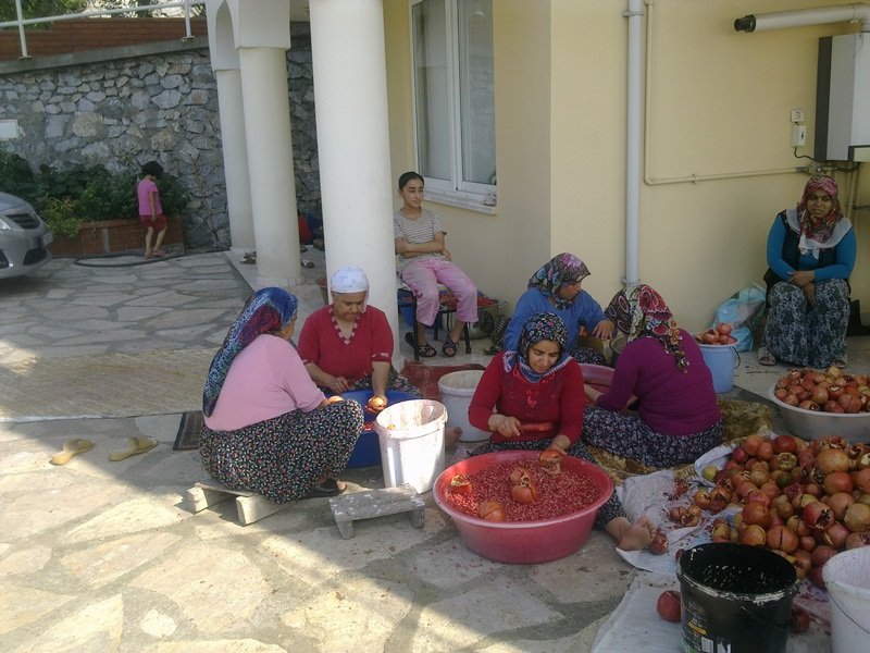 GÃƒÂƒÃ‚ÂƒÃƒÂ‚Ã‚Â¶rÃƒÂƒÃ‚ÂƒÃƒÂ‚Ã‚Â¼ntÃƒÂƒÃ‚ÂƒÃƒÂ‚Ã‚Â¼2800.jpg