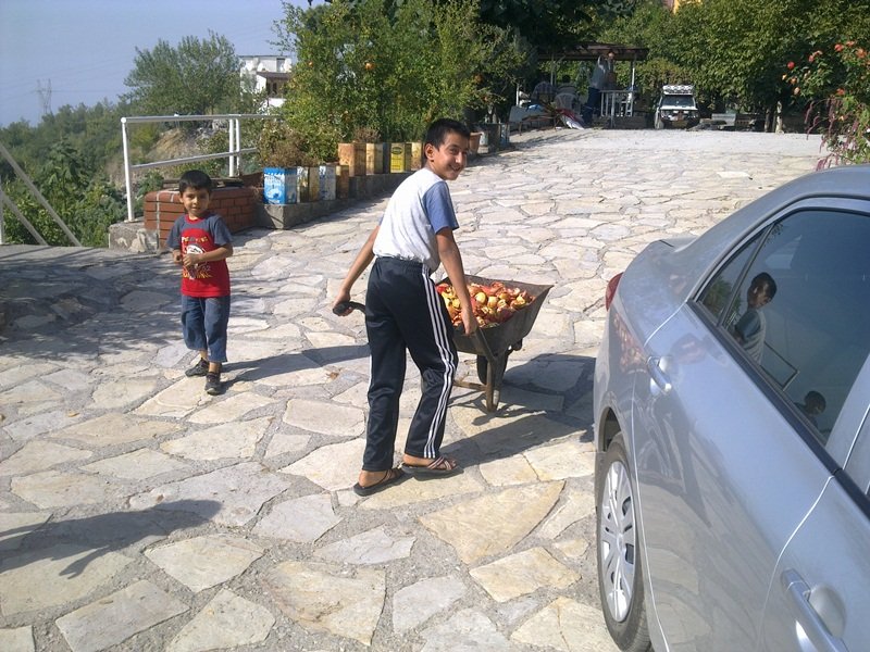 GÃƒÂƒÃ‚ÂƒÃƒÂ‚Ã‚Â¶rÃƒÂƒÃ‚ÂƒÃƒÂ‚Ã‚Â¼ntÃƒÂƒÃ‚ÂƒÃƒÂ‚Ã‚Â¼2803.jpg