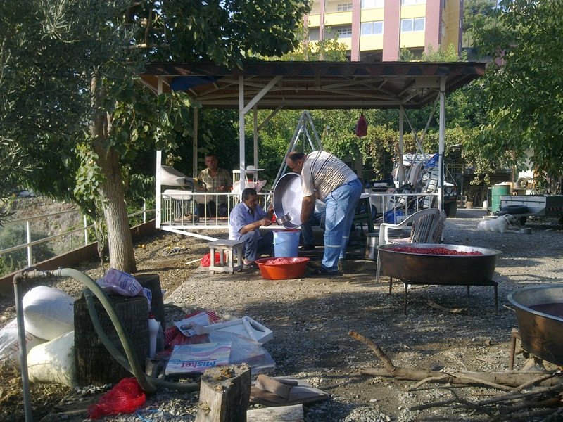 GÃƒÂƒÃ‚ÂƒÃƒÂ‚Ã‚Â¶rÃƒÂƒÃ‚ÂƒÃƒÂ‚Ã‚Â¼ntÃƒÂƒÃ‚ÂƒÃƒÂ‚Ã‚Â¼2812.jpg
