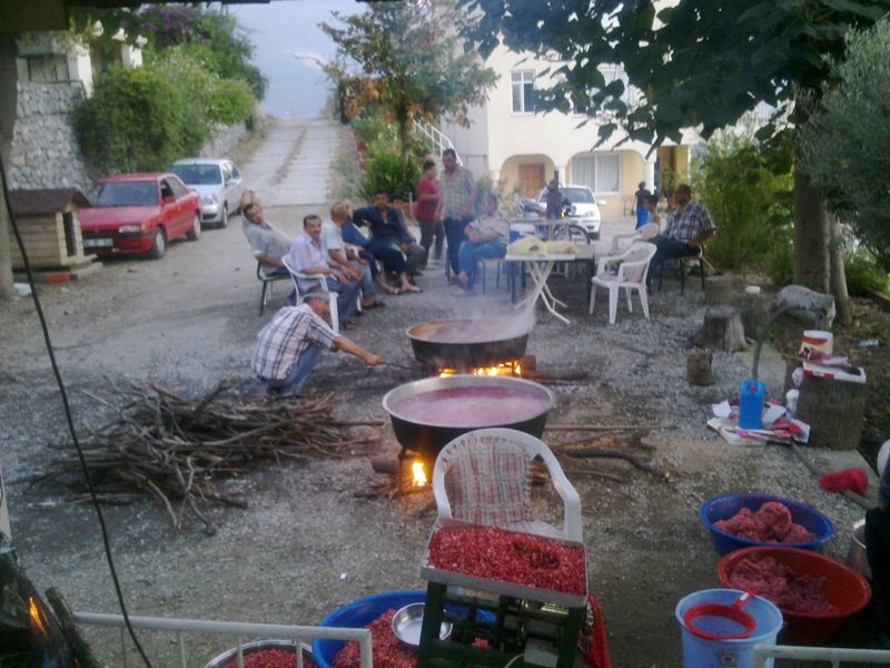 GÃƒÂƒÃ‚ÂƒÃƒÂ‚Ã‚Â¶rÃƒÂƒÃ‚ÂƒÃƒÂ‚Ã‚Â¼ntÃƒÂƒÃ‚ÂƒÃƒÂ‚Ã‚Â¼2816.jpg