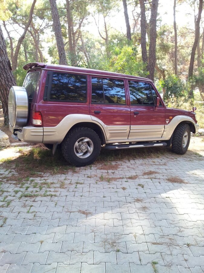 galloper.jpg