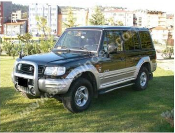 galloper_03.jpg