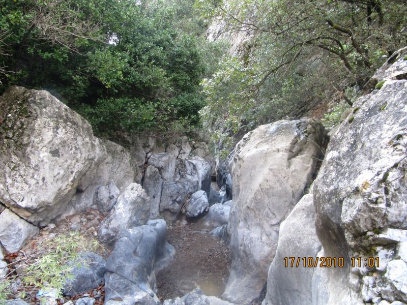 Gaziemir (33).jpg