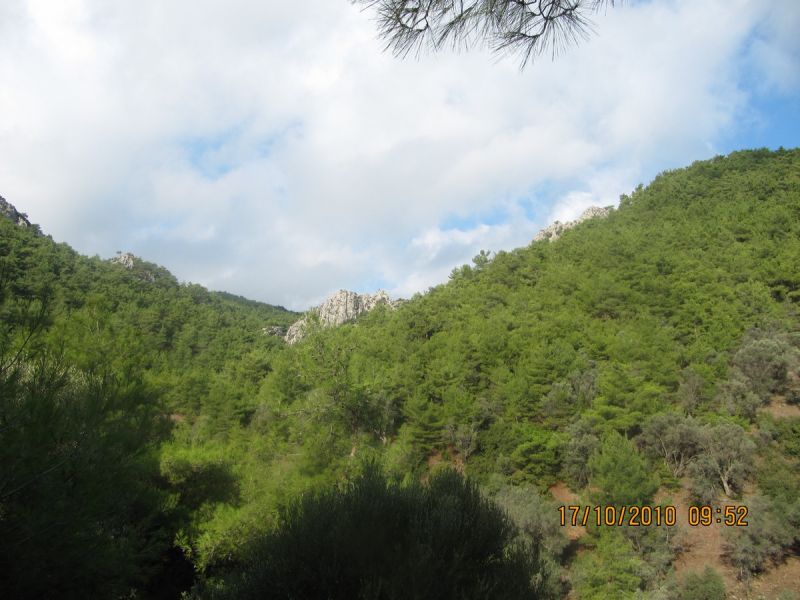 Gaziemir (9).jpg