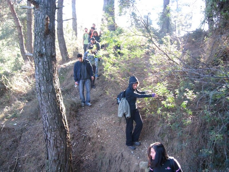 Gaziemir - GÃƒÂƒÃ‚ÂƒÃƒÂ‚Ã‚Â¶ree010309 178.jpg