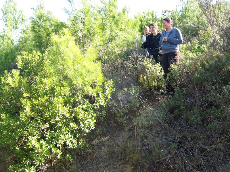 Gaziemir - GÃƒÂƒÃ‚ÂƒÃƒÂ‚Ã‚Â¶ree010309 180.jpg