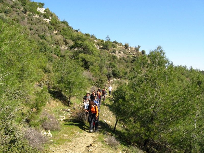 Gaziemir - GÃƒÂƒÃ‚ÂƒÃƒÂ‚Ã‚Â¶ree010309 181.jpg