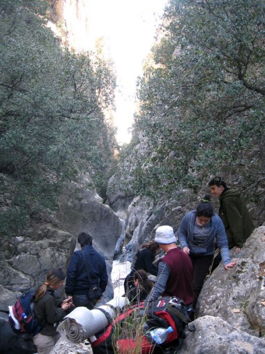 Gaziemir - GÃƒÂƒÃ‚ÂƒÃƒÂ‚Ã‚Â¶ree010309 188.jpg