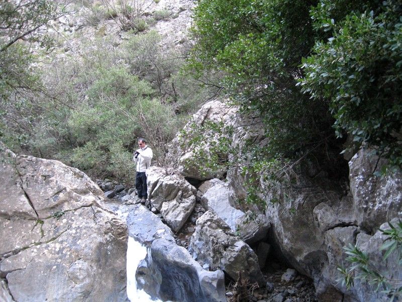 Gaziemir - GÃƒÂƒÃ‚ÂƒÃƒÂ‚Ã‚Â¶ree010309 191.jpg