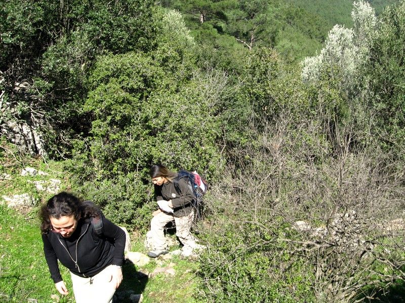 Gaziemir - GÃƒÂƒÃ‚ÂƒÃƒÂ‚Ã‚Â¶ree010309 192.jpg