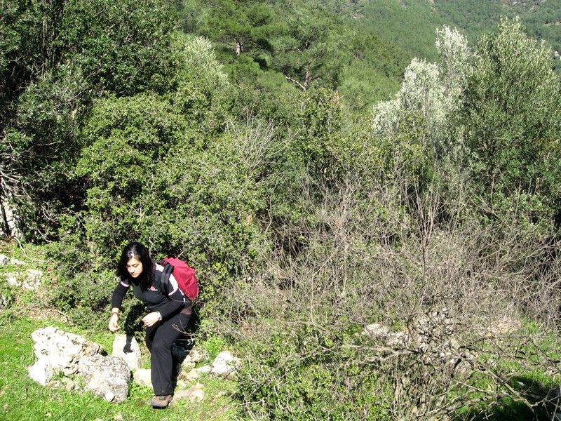 Gaziemir - GÃƒÂƒÃ‚ÂƒÃƒÂ‚Ã‚Â¶ree010309 193.jpg