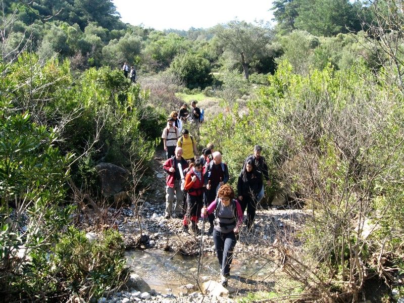 Gaziemir - GÃƒÂƒÃ‚ÂƒÃƒÂ‚Ã‚Â¶ree010309 198.jpg