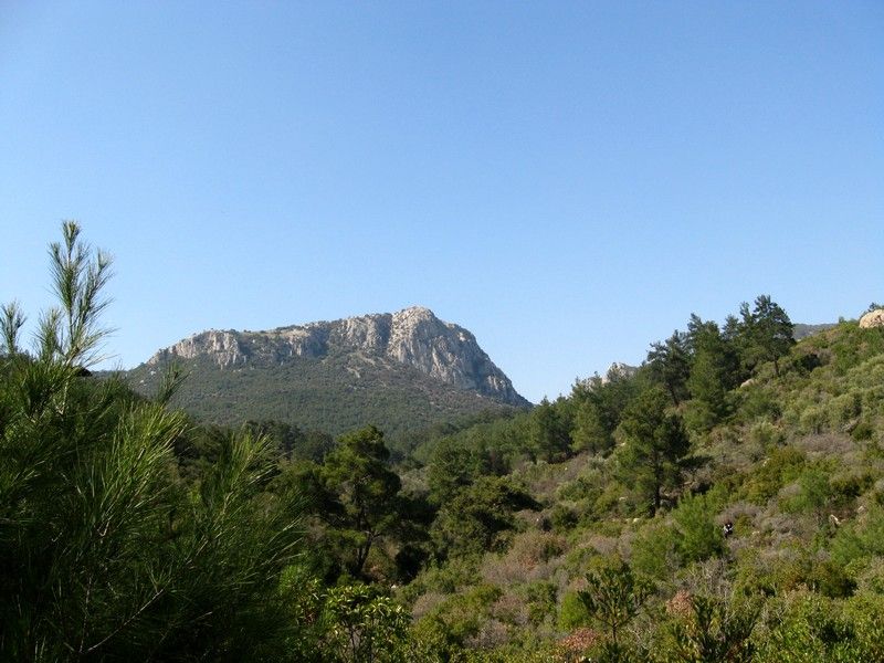 Gaziemir - GÃƒÂƒÃ‚ÂƒÃƒÂ‚Ã‚Â¶ree010309 199.jpg