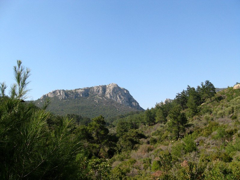 Gaziemir - GÃƒÂƒÃ‚ÂƒÃƒÂ‚Ã‚Â¶ree010309 199.jpg