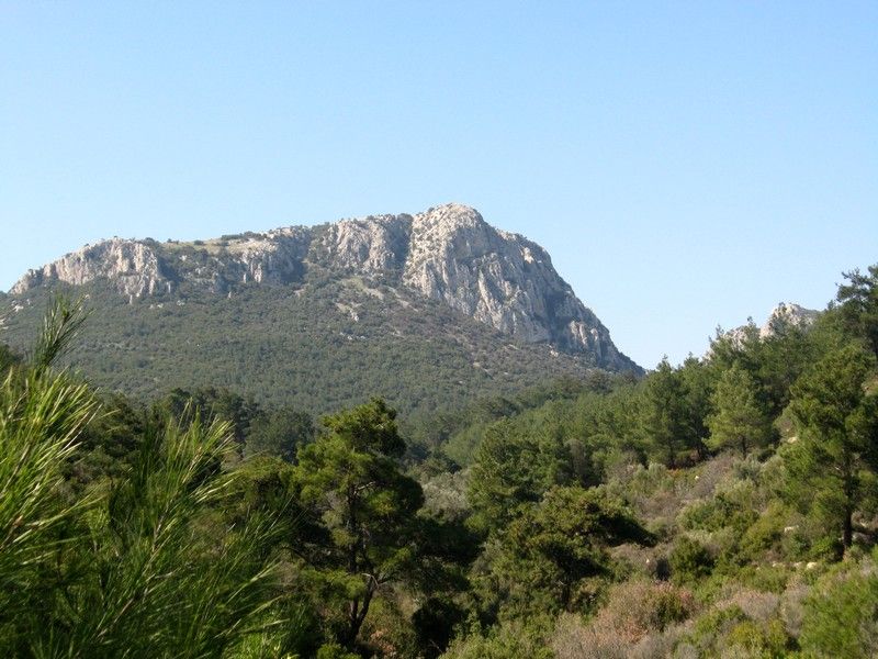 Gaziemir - GÃƒÂƒÃ‚ÂƒÃƒÂ‚Ã‚Â¶ree010309 200.jpg