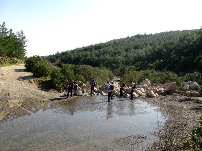 Gaziemir - GÃƒÂƒÃ‚ÂƒÃƒÂ‚Ã‚Â¶ree010309 201.jpg