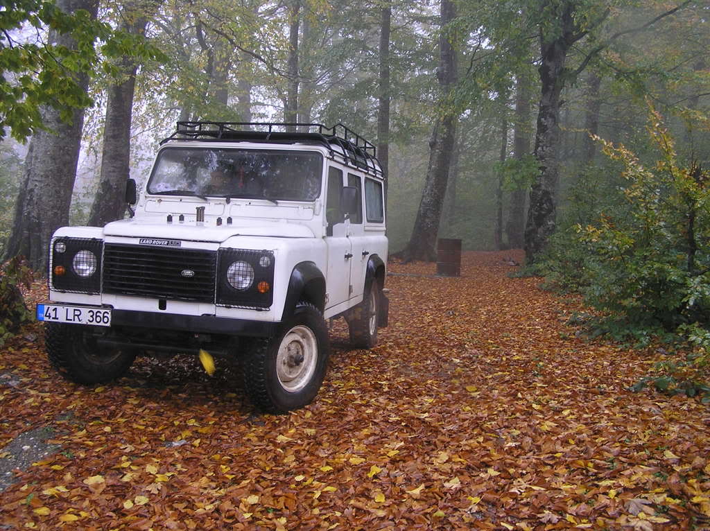 gb053.jpg