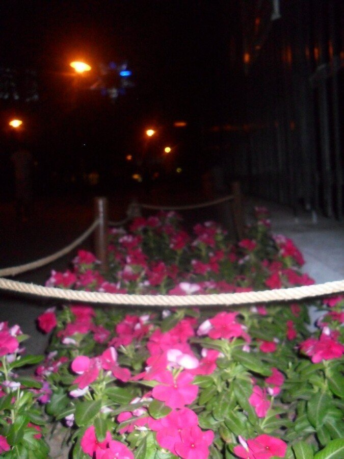 Gece FotoÃƒÂƒÃ‚Â„ÃƒÂ‚Ã‚ÂŸraf AvÃƒÂƒÃ‚Â„ÃƒÂ‚Ã‚Â± 00050.jpg