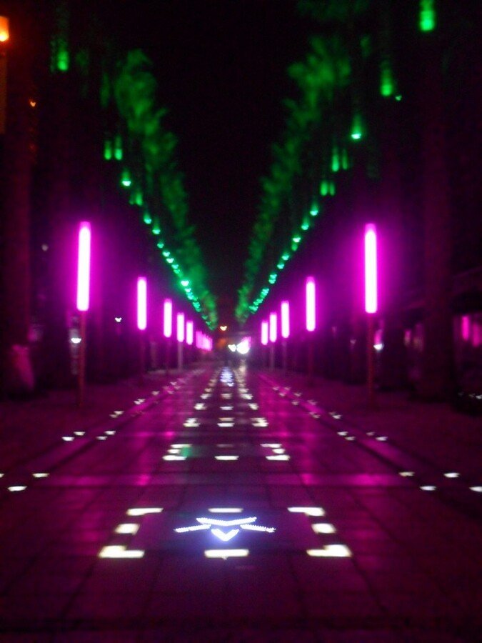 Gece FotoÃƒÂƒÃ‚Â„ÃƒÂ‚Ã‚ÂŸraf AvÃƒÂƒÃ‚Â„ÃƒÂ‚Ã‚Â± 00061.jpg