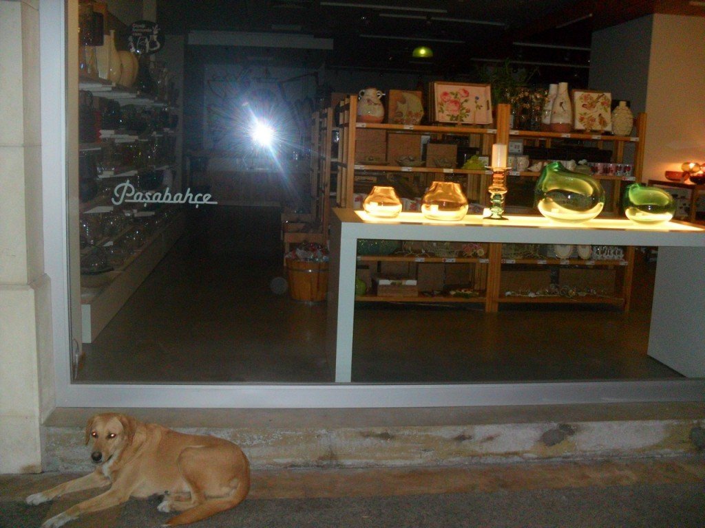 Gece FotoÃƒÂƒÃ‚Â„ÃƒÂ‚Ã‚ÂŸraf AvÃƒÂƒÃ‚Â„ÃƒÂ‚Ã‚Â± 00085.jpg