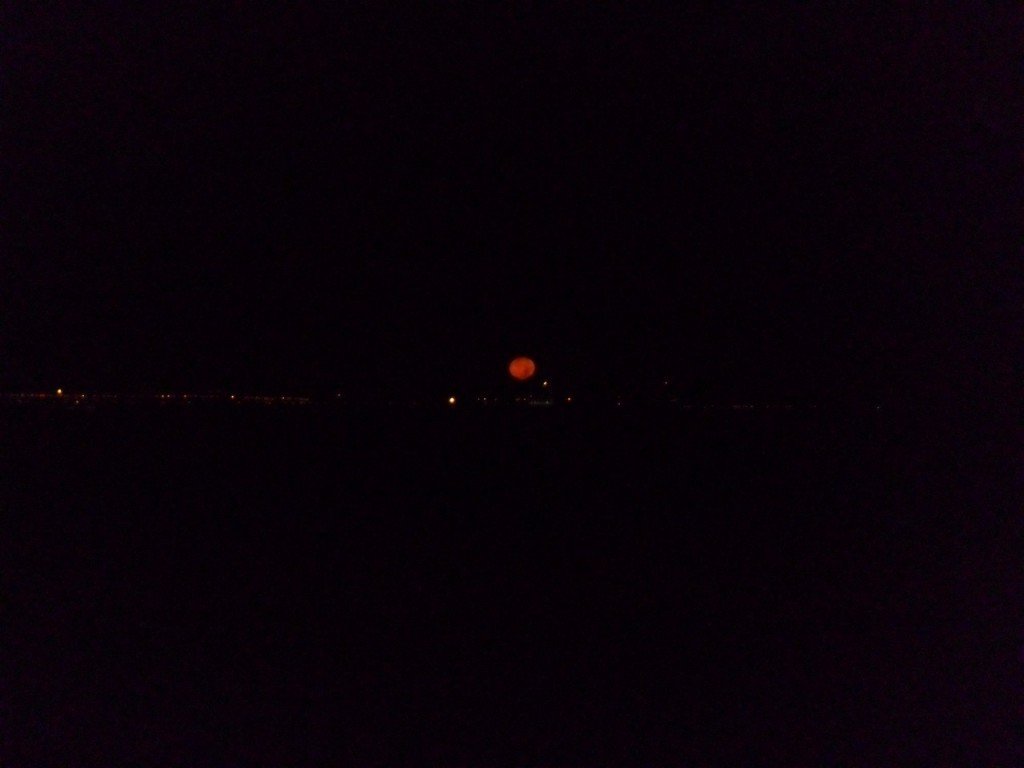 Gece FotoÃƒÂƒÃ‚Â„ÃƒÂ‚Ã‚ÂŸraf AvÃƒÂƒÃ‚Â„ÃƒÂ‚Ã‚Â± 00135.jpg