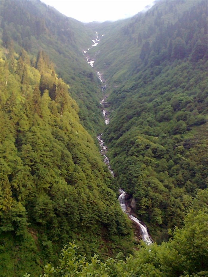 gelintÃƒÂƒÃ‚ÂƒÃƒÂ‚Ã‚Â¼lÃƒÂƒÃ‚ÂƒÃƒÂ‚Ã‚Â¼1.jpg