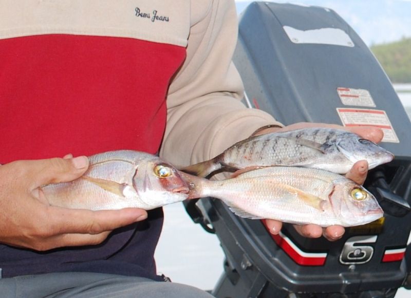 geriÃƒÂƒÃ‚Â…ÃƒÂ‚Ã‚ÂŸ 369.jpg