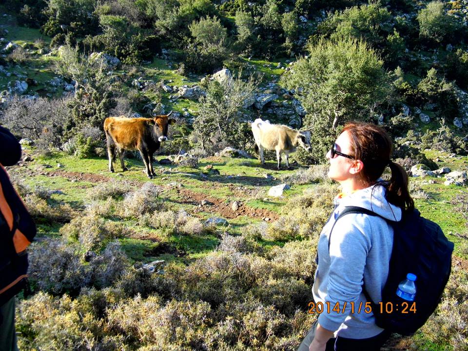 Gezenbilir ÃƒÂƒÃ‚Â„ÃƒÂ‚Ã‚Â°zmir - DumanlÃƒÂƒÃ‚Â„ÃƒÂ‚Ã‚Â±daÃƒÂƒÃ‚Â„ÃƒÂ‚Ã‚ÂŸ 007.jpg