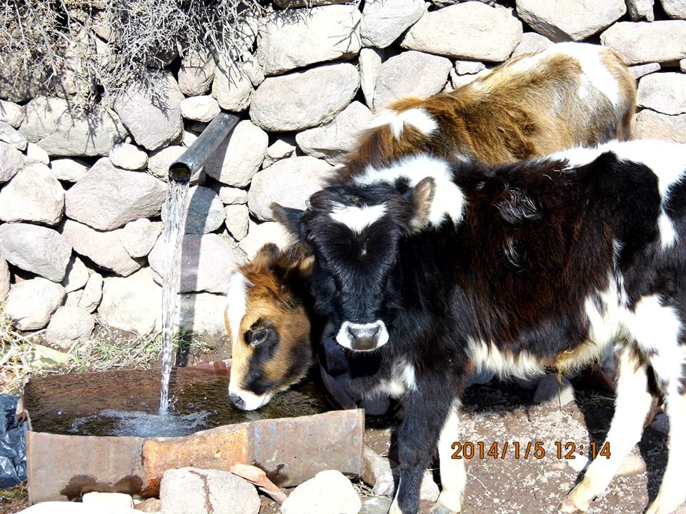 Gezenbilir ÃƒÂƒÃ‚Â„ÃƒÂ‚Ã‚Â°zmir - DumanlÃƒÂƒÃ‚Â„ÃƒÂ‚Ã‚Â±daÃƒÂƒÃ‚Â„ÃƒÂ‚Ã‚ÂŸ 023.jpg