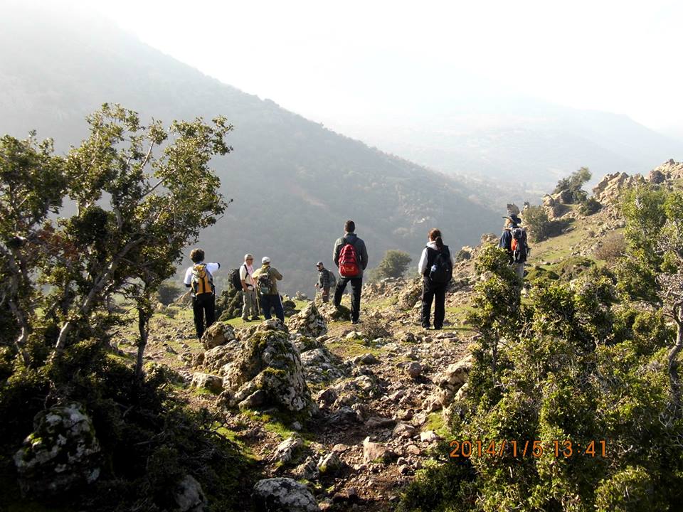 Gezenbilir ÃƒÂƒÃ‚Â„ÃƒÂ‚Ã‚Â°zmir - DumanlÃƒÂƒÃ‚Â„ÃƒÂ‚Ã‚Â±daÃƒÂƒÃ‚Â„ÃƒÂ‚Ã‚ÂŸ 035.jpg