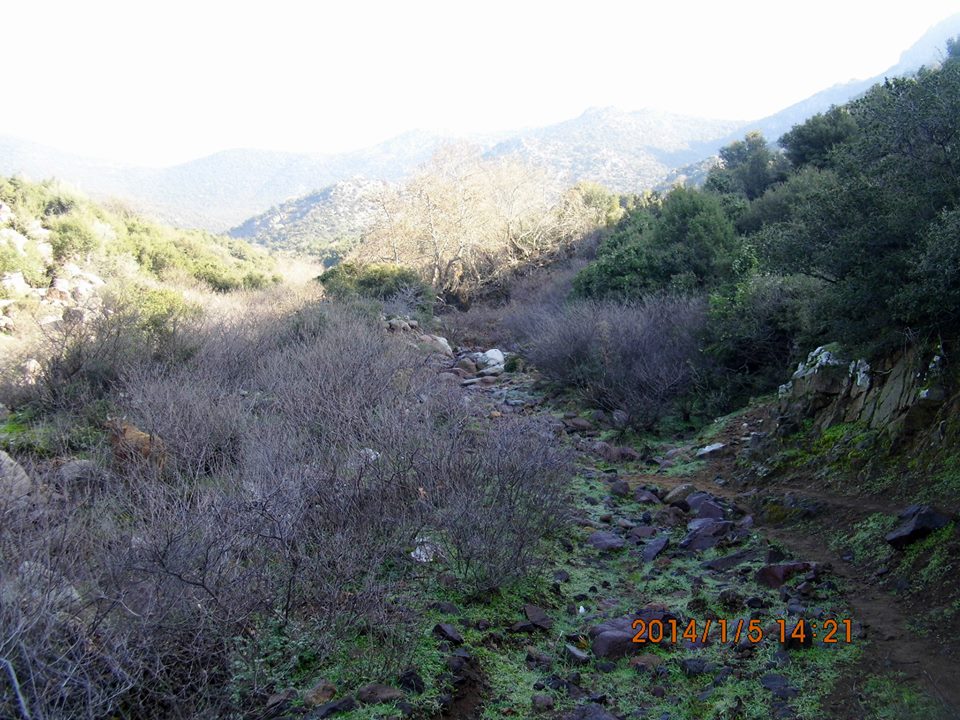 Gezenbilir ÃƒÂƒÃ‚Â„ÃƒÂ‚Ã‚Â°zmir - DumanlÃƒÂƒÃ‚Â„ÃƒÂ‚Ã‚Â±daÃƒÂƒÃ‚Â„ÃƒÂ‚Ã‚ÂŸ 038.jpg