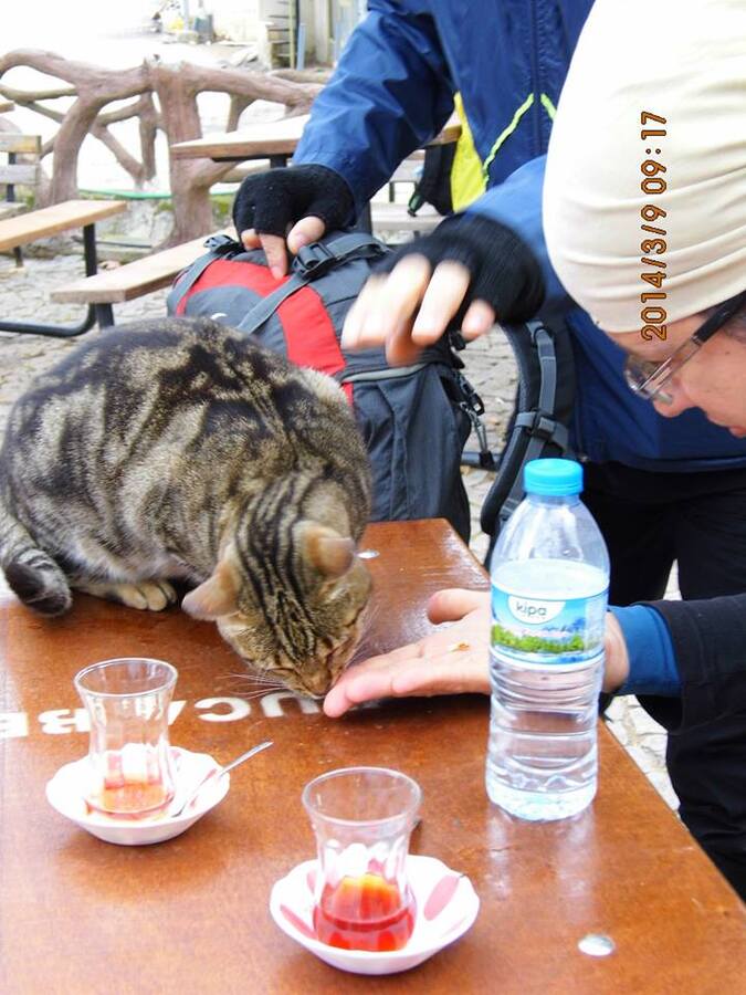 Gezenbilir ÃƒÂƒÃ‚Â„ÃƒÂ‚Ã‚Â°zmir; Kaynaklar - GÃƒÂƒÃ‚ÂƒÃƒÂ‚Ã‚Â¼rlek - GÃƒÂƒÃ‚ÂƒÃƒÂ‚Ã‚Â¶kdere  002.jpg