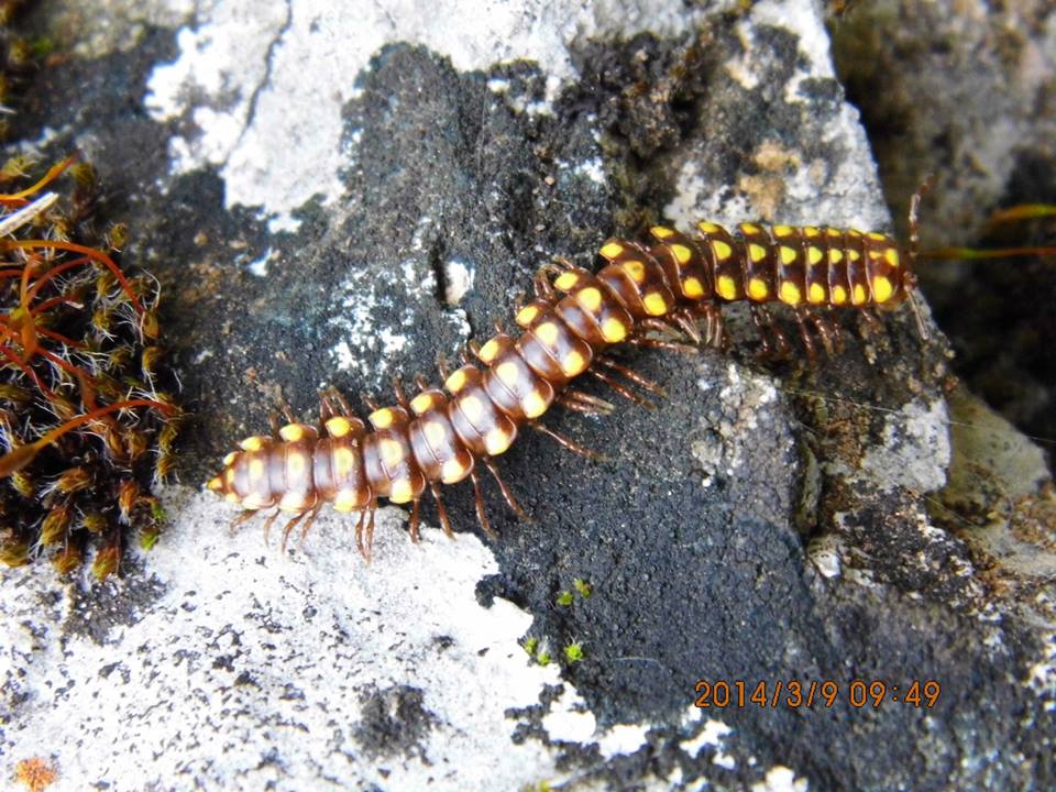 Gezenbilir ÃƒÂƒÃ‚Â„ÃƒÂ‚Ã‚Â°zmir; Kaynaklar - GÃƒÂƒÃ‚ÂƒÃƒÂ‚Ã‚Â¼rlek - GÃƒÂƒÃ‚ÂƒÃƒÂ‚Ã‚Â¶kdere  008.jpg