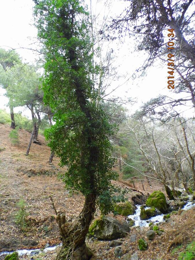 Gezenbilir ÃƒÂƒÃ‚Â„ÃƒÂ‚Ã‚Â°zmir; Kaynaklar - GÃƒÂƒÃ‚ÂƒÃƒÂ‚Ã‚Â¼rlek - GÃƒÂƒÃ‚ÂƒÃƒÂ‚Ã‚Â¶kdere  027.jpg