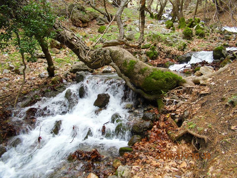 Gezenbilir ÃƒÂƒÃ‚Â„ÃƒÂ‚Ã‚Â°zmir; Kaynaklar - GÃƒÂƒÃ‚ÂƒÃƒÂ‚Ã‚Â¼rlek - GÃƒÂƒÃ‚ÂƒÃƒÂ‚Ã‚Â¶kdere  029.jpg