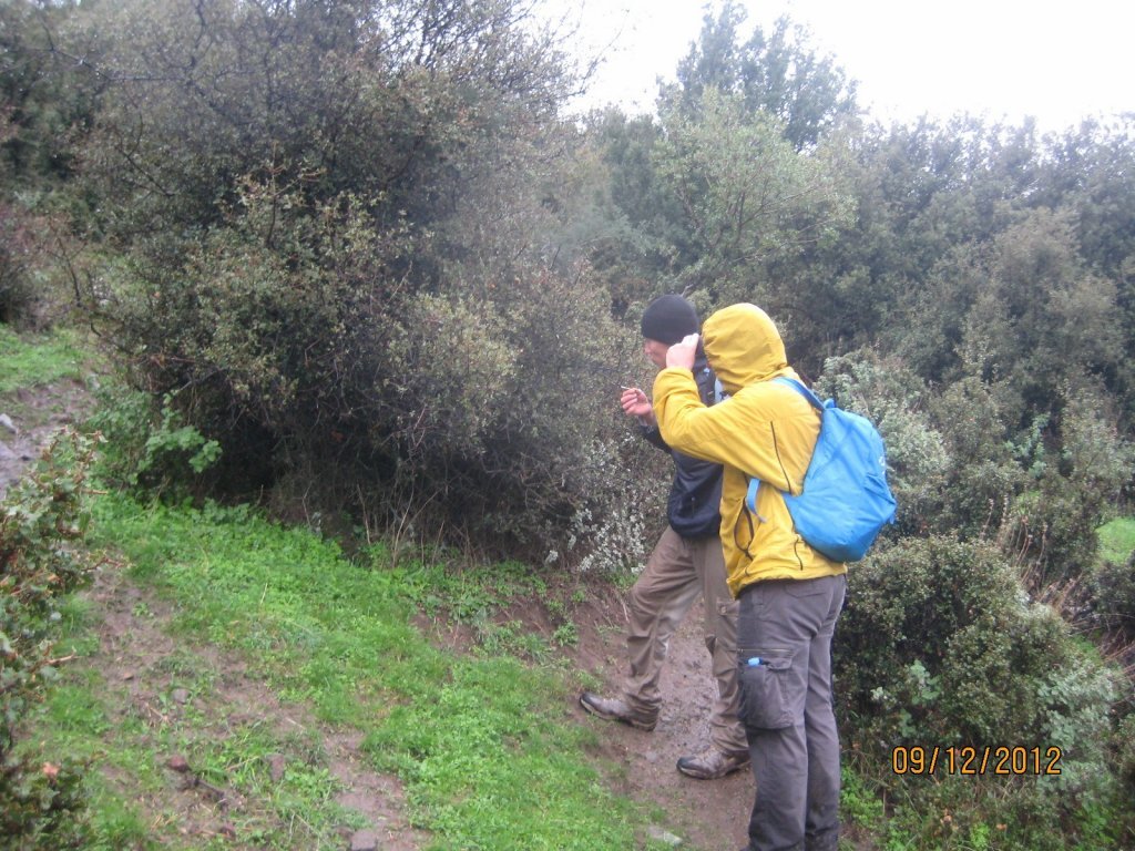 Gezenbilir ÃƒÂƒÃ‚Â„ÃƒÂ‚Ã‚Â°zmir; Ulukent'te 09 AralÃƒÂƒÃ‚Â„ÃƒÂ‚Ã‚Â±k 2012  00018.jpg